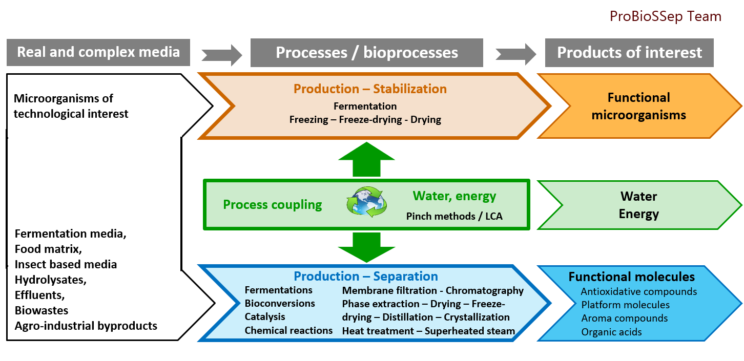 ProBioSSep Team