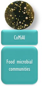 LOGO CoMiAL _ EN