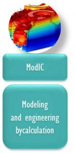 Logo ModIC _ EN